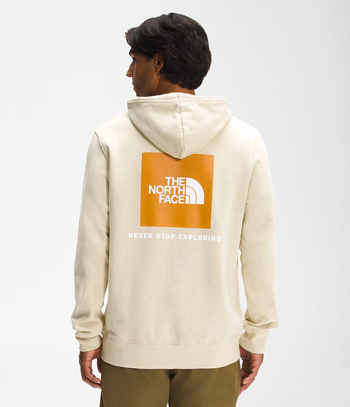 Sudadera Con Capucha The North Face Hombre Beige Box Nse Pullover 56927FZQN